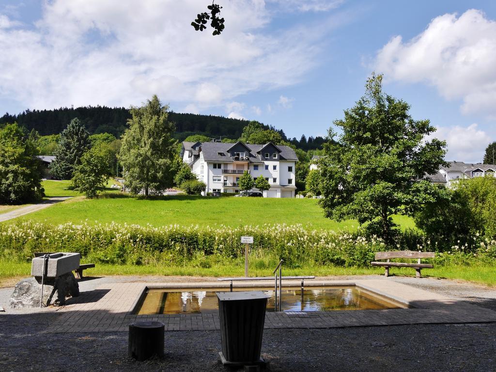 Fewo am Stryckteich Willingen  Exterior foto
