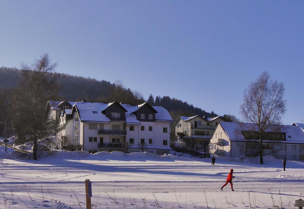 Fewo am Stryckteich Willingen  Exterior foto