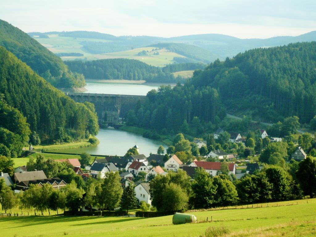 Fewo am Stryckteich Willingen  Exterior foto