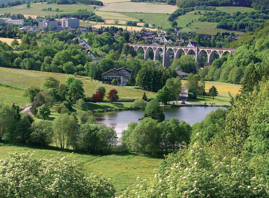 Fewo am Stryckteich Willingen  Exterior foto