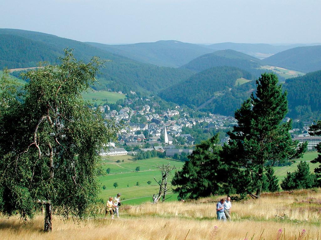 Fewo am Stryckteich Willingen  Exterior foto