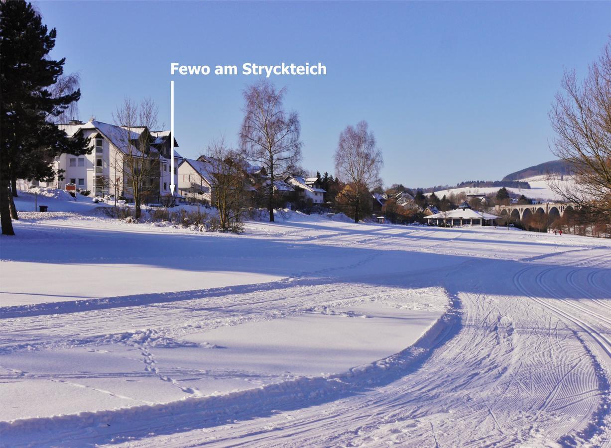 Fewo am Stryckteich Willingen  Exterior foto