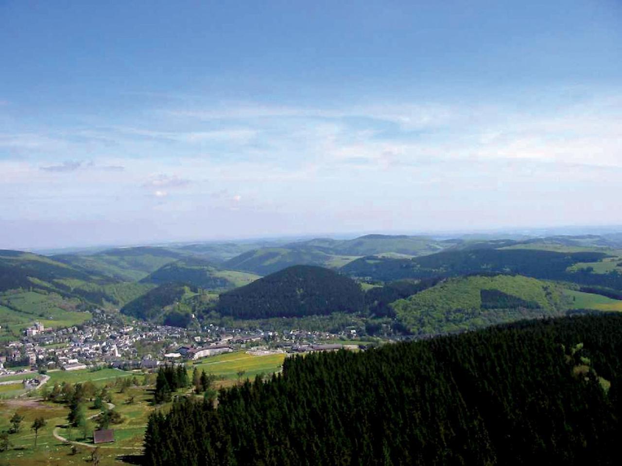 Fewo am Stryckteich Willingen  Exterior foto
